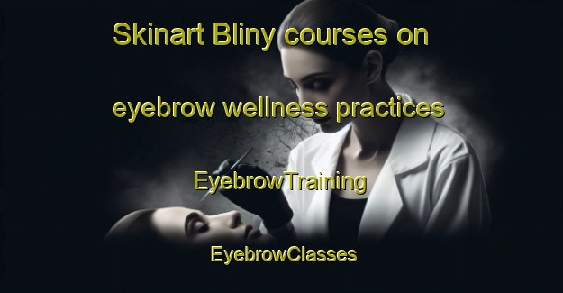 Skinart Bliny courses on eyebrow wellness practices | EyebrowTraining | EyebrowClasses | SkinartTraining-Russia