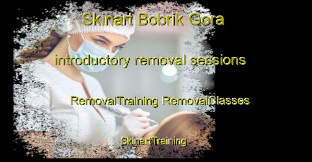 Skinart Bobrik Gora introductory removal sessions | #RemovalTraining #RemovalClasses #SkinartTraining-Russia