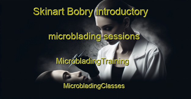 Skinart Bobry introductory microblading sessions | MicrobladingTraining | MicrobladingClasses | SkinartTraining-Russia