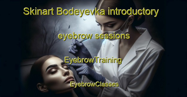 Skinart Bodeyevka introductory eyebrow sessions | EyebrowTraining | EyebrowClasses | SkinartTraining-Russia