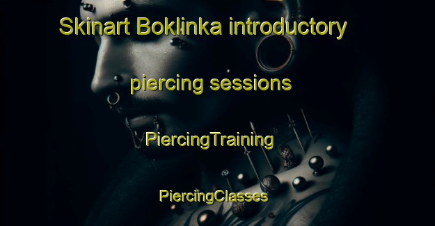 Skinart Boklinka introductory piercing sessions | PiercingTraining | PiercingClasses | SkinartTraining-Russia