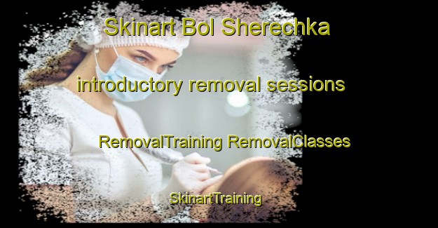 Skinart Bol Sherechka introductory removal sessions | #RemovalTraining #RemovalClasses #SkinartTraining-Russia