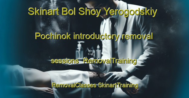 Skinart Bol Shoy Yerogodskiy Pochinok introductory removal sessions | #RemovalTraining #RemovalClasses #SkinartTraining-Russia