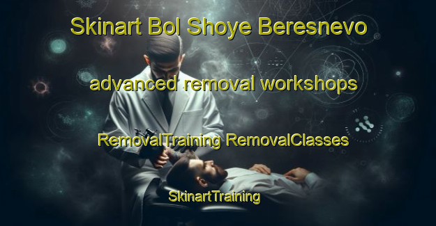 Skinart Bol Shoye Beresnevo advanced removal workshops | #RemovalTraining #RemovalClasses #SkinartTraining-Russia