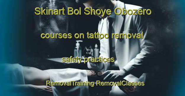 Skinart Bol Shoye Obozero courses on tattoo removal safety practices | #RemovalTraining #RemovalClasses #SkinartTraining-Russia