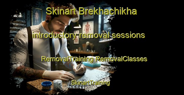 Skinart Brekhachikha introductory removal sessions | #RemovalTraining #RemovalClasses #SkinartTraining-Russia