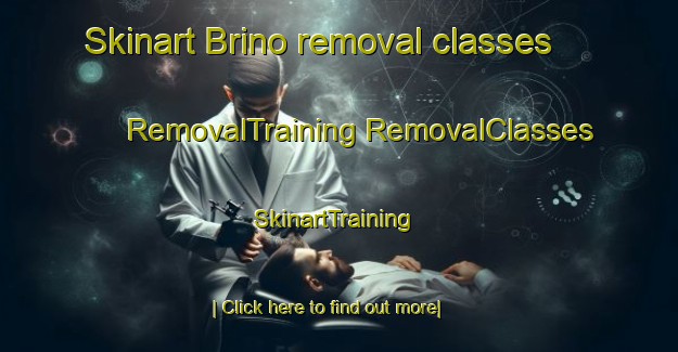 Skinart Brino removal classes | #RemovalTraining #RemovalClasses #SkinartTraining-Russia