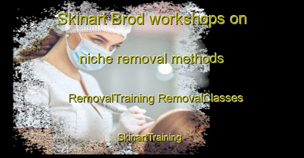 Skinart Brod workshops on niche removal methods | #RemovalTraining #RemovalClasses #SkinartTraining-Russia