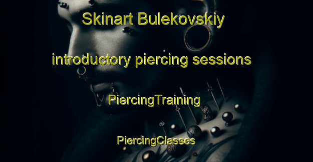 Skinart Bulekovskiy introductory piercing sessions | #PiercingTraining #PiercingClasses #SkinartTraining-Russia