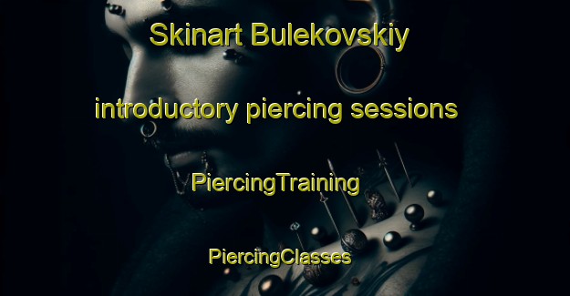 Skinart Bulekovskiy introductory piercing sessions | PiercingTraining | PiercingClasses | SkinartTraining-Russia