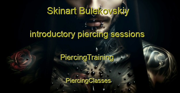 Skinart Bulekovskiy introductory piercing sessions | PiercingTraining | PiercingClasses | SkinartTraining-Russia