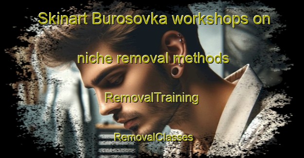 Skinart Burosovka workshops on niche removal methods | RemovalTraining | RemovalClasses | SkinartTraining-Russia