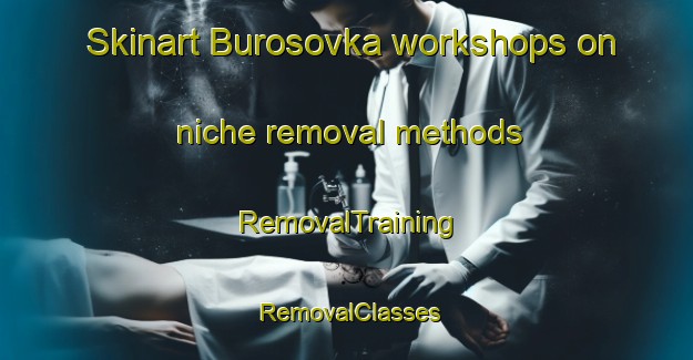 Skinart Burosovka workshops on niche removal methods | RemovalTraining | RemovalClasses | SkinartTraining-Russia