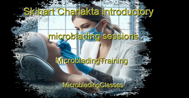 Skinart Charlakta introductory microblading sessions | MicrobladingTraining | MicrobladingClasses | SkinartTraining-Russia