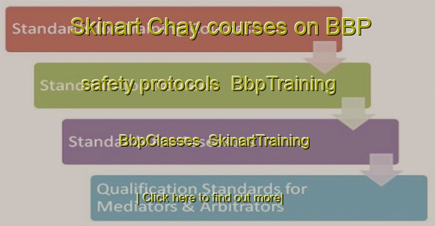 Skinart Chay courses on BBP safety protocols | BbpTraining | BbpClasses | SkinartTraining-Russia