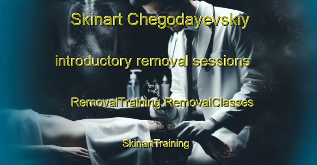 Skinart Chegodayevskiy introductory removal sessions | #RemovalTraining #RemovalClasses #SkinartTraining-Russia