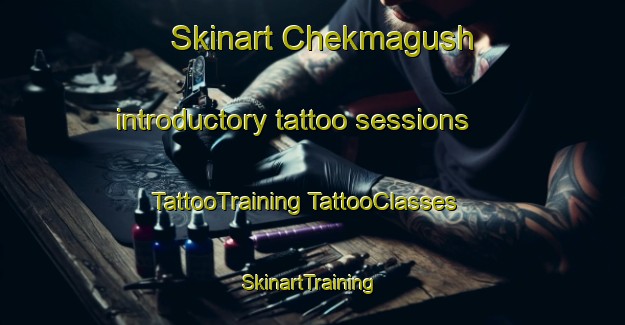 Skinart Chekmagush introductory tattoo sessions | #TattooTraining #TattooClasses #SkinartTraining-Russia