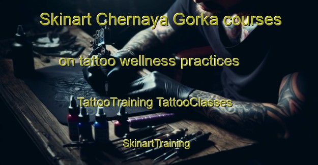 Skinart Chernaya Gorka courses on tattoo wellness practices | #TattooTraining #TattooClasses #SkinartTraining-Russia