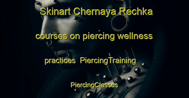 Skinart Chernaya Rechka courses on piercing wellness practices | #PiercingTraining #PiercingClasses #SkinartTraining-Russia