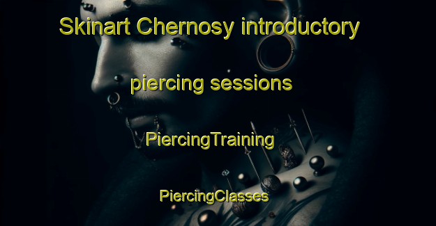 Skinart Chernosy introductory piercing sessions | PiercingTraining | PiercingClasses | SkinartTraining-Russia
