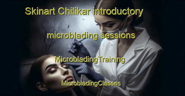 Skinart Chilikar introductory microblading sessions | MicrobladingTraining | MicrobladingClasses | SkinartTraining-Russia