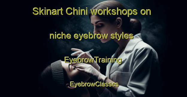 Skinart Chini workshops on niche eyebrow styles | EyebrowTraining | EyebrowClasses | SkinartTraining-Russia