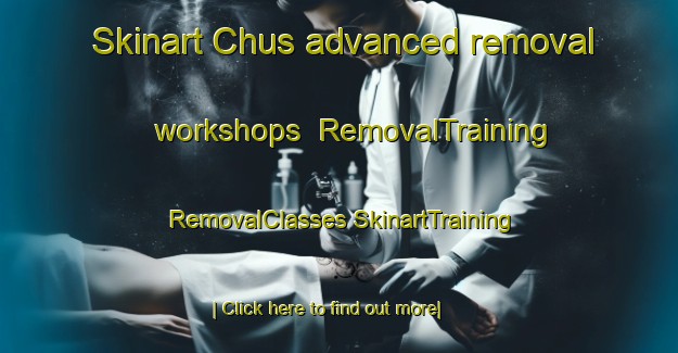 Skinart Chus advanced removal workshops | #RemovalTraining #RemovalClasses #SkinartTraining-Russia