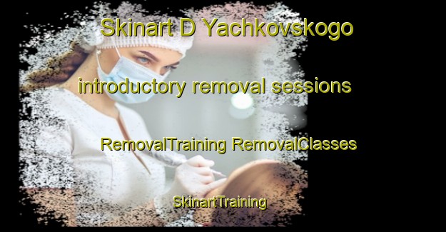 Skinart D Yachkovskogo introductory removal sessions | #RemovalTraining #RemovalClasses #SkinartTraining-Russia