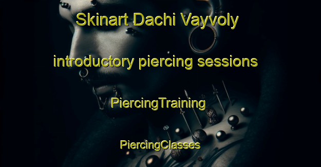 Skinart Dachi Vayvoly introductory piercing sessions | #PiercingTraining #PiercingClasses #SkinartTraining-Russia