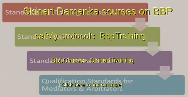 Skinart Damanka courses on BBP safety protocols | BbpTraining | BbpClasses | SkinartTraining-Russia