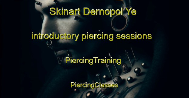 Skinart Dernopol Ye introductory piercing sessions | #PiercingTraining #PiercingClasses #SkinartTraining-Russia