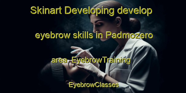 Skinart Developing develop eyebrow skills in Padmozero area | EyebrowTraining | EyebrowClasses | SkinartTraining-Russia