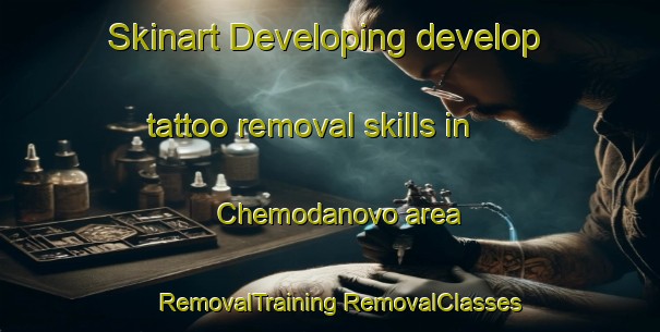 Skinart Developing develop tattoo removal skills in Chemodanovo area | #RemovalTraining #RemovalClasses #SkinartTraining-Russia