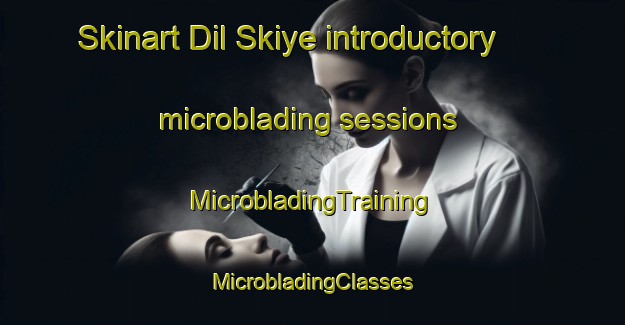 Skinart Dil Skiye introductory microblading sessions | #MicrobladingTraining #MicrobladingClasses #SkinartTraining-Russia