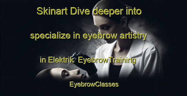 Skinart Dive deeper into specialize in eyebrow artistry in Elektrik | EyebrowTraining | EyebrowClasses | SkinartTraining-Russia