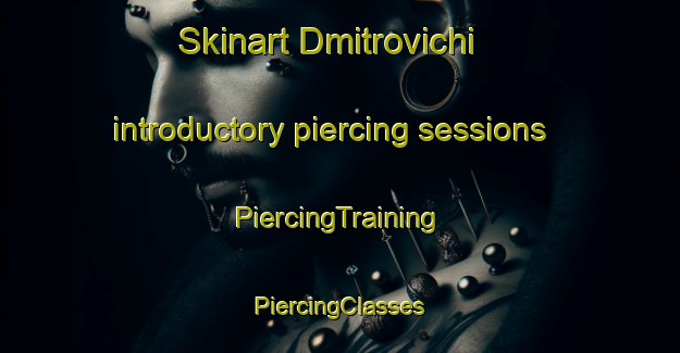 Skinart Dmitrovichi introductory piercing sessions | #PiercingTraining #PiercingClasses #SkinartTraining-Russia