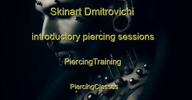 Skinart Dmitrovichi introductory piercing sessions | PiercingTraining | PiercingClasses | SkinartTraining-Russia