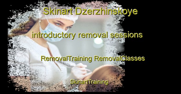 Skinart Dzerzhinskoye introductory removal sessions | #RemovalTraining #RemovalClasses #SkinartTraining-Russia