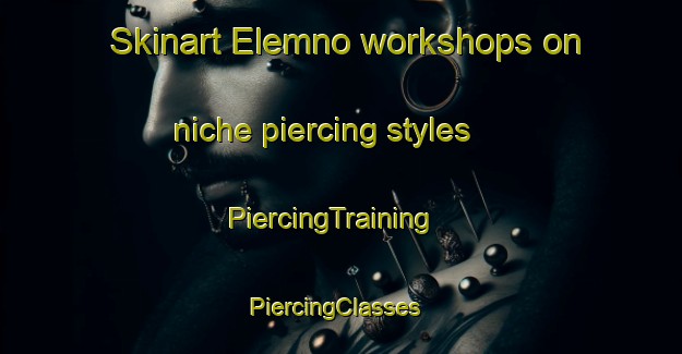 Skinart Elemno workshops on niche piercing styles | PiercingTraining | PiercingClasses | SkinartTraining-Russia