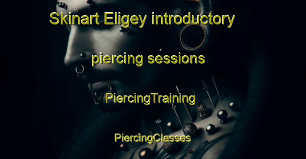 Skinart Eligey introductory piercing sessions | #PiercingTraining #PiercingClasses #SkinartTraining-Russia