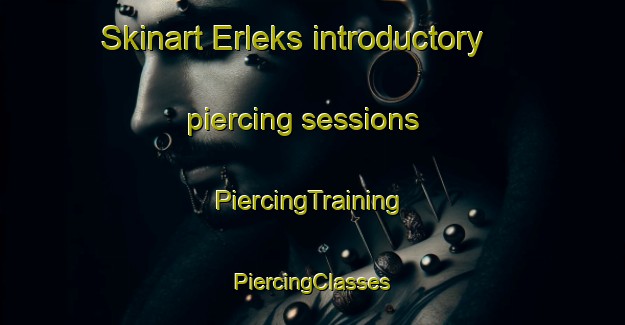 Skinart Erleks introductory piercing sessions | #PiercingTraining #PiercingClasses #SkinartTraining-Russia