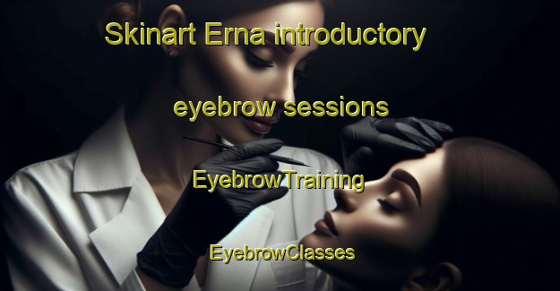 Skinart Erna introductory eyebrow sessions | EyebrowTraining | EyebrowClasses | SkinartTraining-Russia