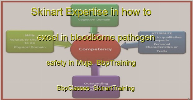 Skinart Expertise in how to excel in bloodborne pathogen safety in Muja | BbpTraining | BbpClasses | SkinartTraining-Russia