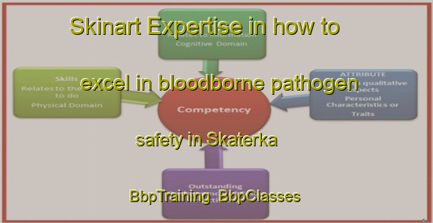 Skinart Expertise in how to excel in bloodborne pathogen safety in Skaterka | BbpTraining | BbpClasses | SkinartTraining-Russia