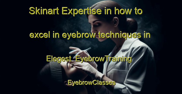 Skinart Expertise in how to excel in eyebrow techniques in Elegest | EyebrowTraining | EyebrowClasses | SkinartTraining-Russia