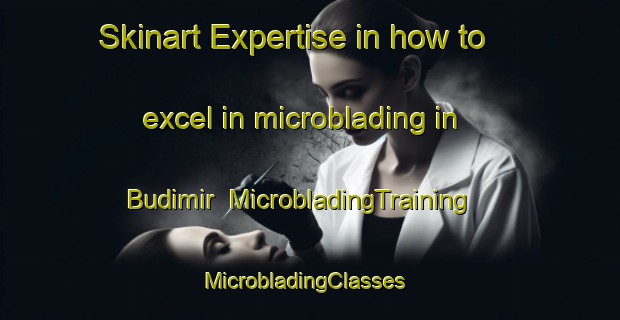 Skinart Expertise in how to excel in microblading in Budimir | MicrobladingTraining | MicrobladingClasses | SkinartTraining-Russia