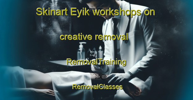 Skinart Eyik workshops on creative removal | RemovalTraining | RemovalClasses | SkinartTraining-Russia