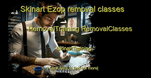 Skinart Ezop removal classes | #RemovalTraining #RemovalClasses #SkinartTraining-Russia