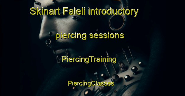 Skinart Faleli introductory piercing sessions | PiercingTraining | PiercingClasses | SkinartTraining-Russia