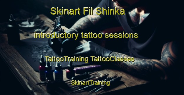 Skinart Fil Shinka introductory tattoo sessions | #TattooTraining #TattooClasses #SkinartTraining-Russia